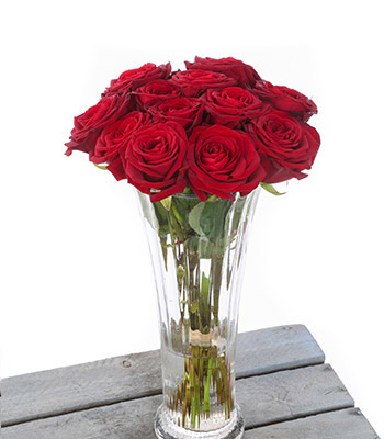 12 Red Rose Vase