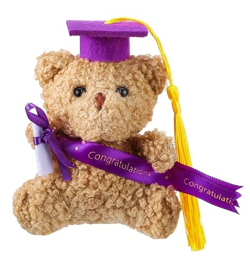 Mini Graduation Bears