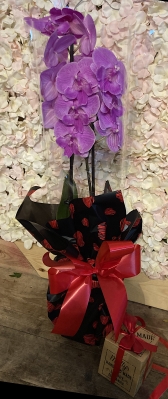 Orchid Valentines Gift Set