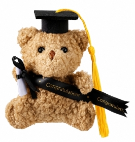 Mini Graduation Bears